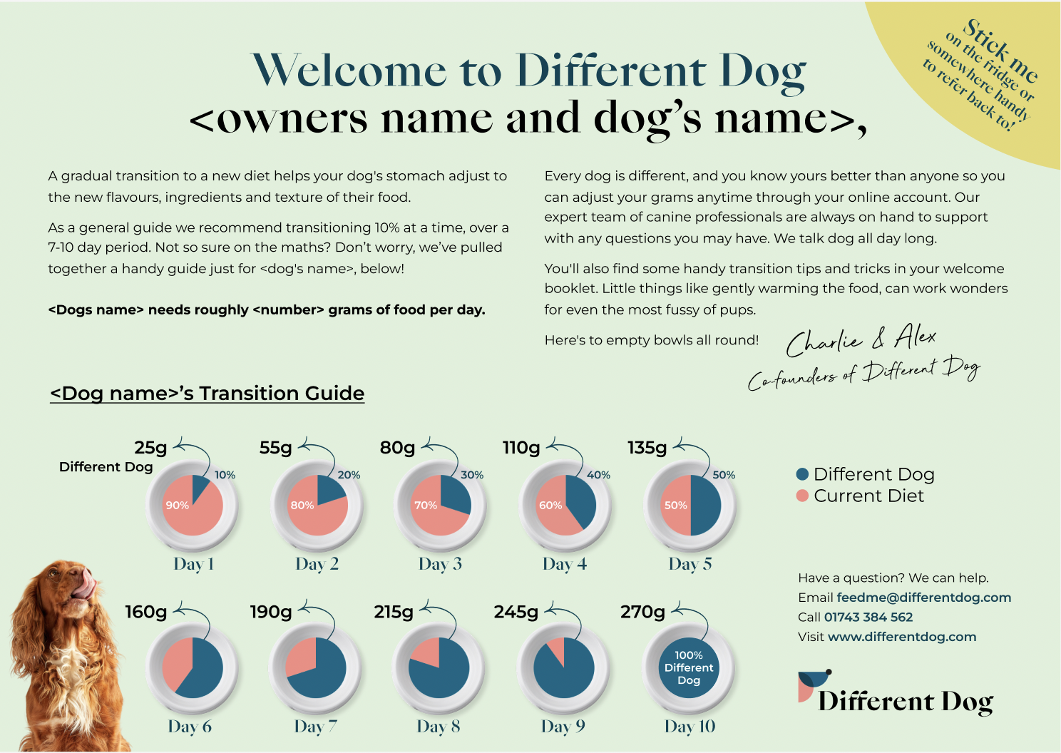Transition slip screenshot.png
